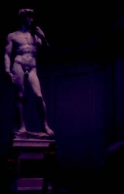 David de Michelangelo em Florença. Academia de Belas Artes